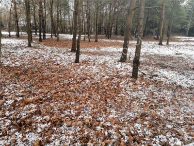 Działka na sprzedaż Sokołów