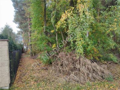 Działka na sprzedaż Strzeniówka