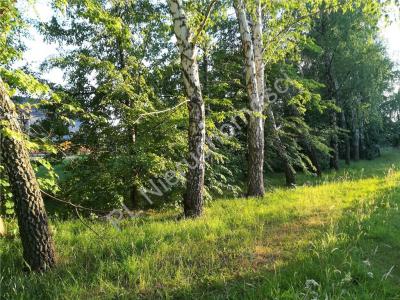 Działka na sprzedaż Pęcice