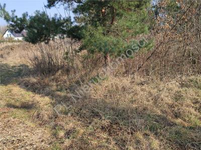 Działka na sprzedaż Krzyżówka