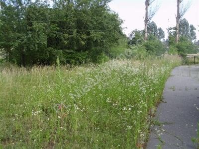 Działka na sprzedaż Pruszków